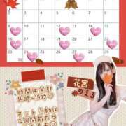 ヒメ日記 2025/11/03 16:58 投稿 花宮のえる メイドin西川口（埼玉ハレ系）