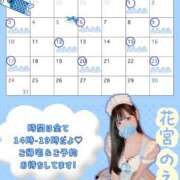 ヒメ日記 2026/05/02 12:30 投稿 花宮のえる メイドin西川口（埼玉ハレ系）