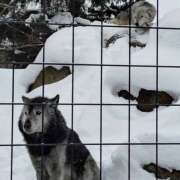 ヒメ日記 2024/12/29 18:00 投稿 きりえ 世界のあんぷり亭 立川店