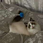 ヒメ日記 2025/02/12 14:39 投稿 いぶ とある風俗店♡やりすぎさーくる新宿大久保店♡で色んな無料オプションしてみました