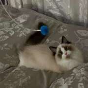 ヒメ日記 2025/02/12 14:48 投稿 いぶ とある風俗店♡やりすぎさーくる新宿大久保店♡で色んな無料オプションしてみました