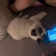 ヒメ日記 2025/09/17 11:17 投稿 いぶ とある風俗店♡やりすぎさーくる新宿大久保店♡で色んな無料オプションしてみました