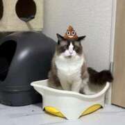 ヒメ日記 2025/10/22 13:37 投稿 いぶ とある風俗店♡やりすぎさーくる新宿大久保店♡で色んな無料オプションしてみました