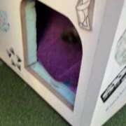 ヒメ日記 2024/12/22 22:09 投稿 みい sweet kiss