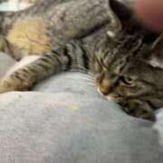 ヒメ日記 2025/06/27 12:22 投稿 みい sweet kiss