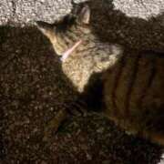 ヒメ日記 2025/08/23 12:49 投稿 みい sweet kiss