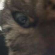 ヒメ日記 2025/10/14 16:11 投稿 みい sweet kiss