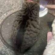 みい ねこちゃんだいすきです🥺 sweet kiss