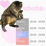 みい ~8/9 schedule sweet kiss