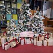 ヒメ日記 2024/12/25 19:33 投稿 アミ キャンディ(鹿児島)