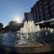 ヒメ日記 2025/01/02 10:48 投稿 アミ キャンディ(鹿児島)