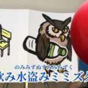 ヒメ日記 2024/02/12 07:57 投稿 ことぶき 池袋おかあさん