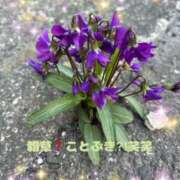 ヒメ日記 2025/04/19 15:09 投稿 ことぶき 池袋おかあさん