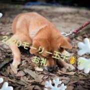 ヒメ日記 2025/12/21 18:24 投稿 ことぶき 池袋おかあさん