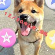 ヒメ日記 2025/12/31 22:05 投稿 ことぶき 池袋おかあさん