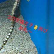 ヒメ日記 2026/02/03 14:18 投稿 ことぶき 池袋おかあさん