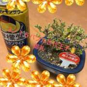 ヒメ日記 2026/03/16 06:47 投稿 ことぶき 池袋おかあさん