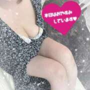 ヒメ日記 2025/02/11 17:03 投稿 仁科(にしな) 八王子人妻城