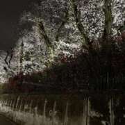 ヒメ日記 2025/04/08 09:48 投稿 仁科(にしな) 八王子人妻城