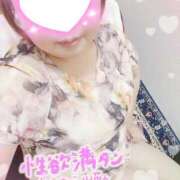 仁科(にしな) 出勤しました！ 八王子人妻城