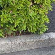 ヒメ日記 2026/05/04 14:11 投稿 ゆいか デザインプリズム新宿