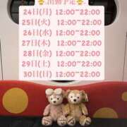 ヒメ日記 2025/03/24 12:15 投稿 りこ プールサイド