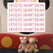 ヒメ日記 2025/05/14 14:11 投稿 りこ プールサイド