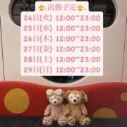 ヒメ日記 2025/06/23 10:48 投稿 りこ プールサイド