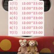 ヒメ日記 2025/12/01 12:47 投稿 りこ プールサイド