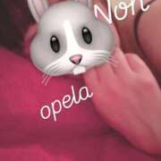 ヒメ日記 2025/04/04 20:28 投稿 ノン OPELA（オペラ）