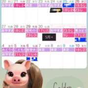 ヒメ日記 2026/04/16 23:38 投稿 ノン OPELA（オペラ）