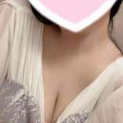 ヒメ日記 2025/11/12 17:02 投稿 要 晶 （かなめ あきら） 湯房すずめ