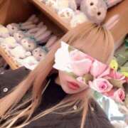 ヒメ日記 2025/01/30 13:15 投稿 今井 紫音（いまい しおん） 湯房すずめ