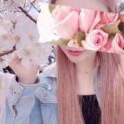 ヒメ日記 2025/02/09 11:15 投稿 今井 紫音（いまい しおん） 湯房すずめ