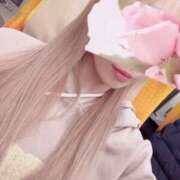 ヒメ日記 2025/04/05 12:15 投稿 今井 紫音（いまい しおん） 湯房すずめ