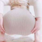 ヒメ日記 2025/04/11 15:15 投稿 今井 紫音（いまい しおん） 湯房すずめ