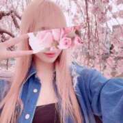 ヒメ日記 2025/04/20 10:15 投稿 今井 紫音（いまい しおん） 湯房すずめ