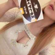 ヒメ日記 2025/04/26 12:16 投稿 今井 紫音（いまい しおん） 湯房すずめ