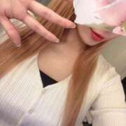 ヒメ日記 2025/05/03 09:15 投稿 今井 紫音（いまい しおん） 湯房すずめ