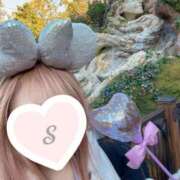 ヒメ日記 2025/05/13 15:15 投稿 今井 紫音（いまい しおん） 湯房すずめ