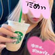 ヒメ日記 2025/05/14 11:15 投稿 今井 紫音（いまい しおん） 湯房すずめ