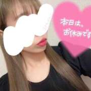 ヒメ日記 2025/08/06 11:15 投稿 今井 紫音（いまい しおん） 湯房すずめ