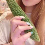 ヒメ日記 2025/08/14 11:15 投稿 今井 紫音（いまい しおん） 湯房すずめ