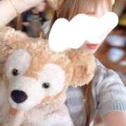 ヒメ日記 2025/12/09 11:15 投稿 今井 紫音（いまい しおん） 湯房すずめ