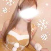 ヒメ日記 2025/12/19 13:15 投稿 今井 紫音（いまい しおん） 湯房すずめ