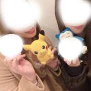 ヒメ日記 2026/04/03 11:15 投稿 今井 紫音（いまい しおん） 湯房すずめ