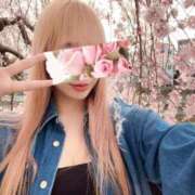 ヒメ日記 2026/04/06 06:15 投稿 今井 紫音（いまい しおん） 湯房すずめ