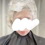 ヒメ日記 2026/04/18 16:16 投稿 今井 紫音（いまい しおん） 湯房すずめ