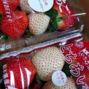 ヒメ日記 2024/12/29 16:48 投稿 小鳥遊 凛（たかなし りん） 湯房すずめ