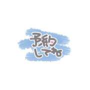 ヒメ日記 2025/01/28 23:17 投稿 小鳥遊 凛（たかなし りん） 湯房すずめ